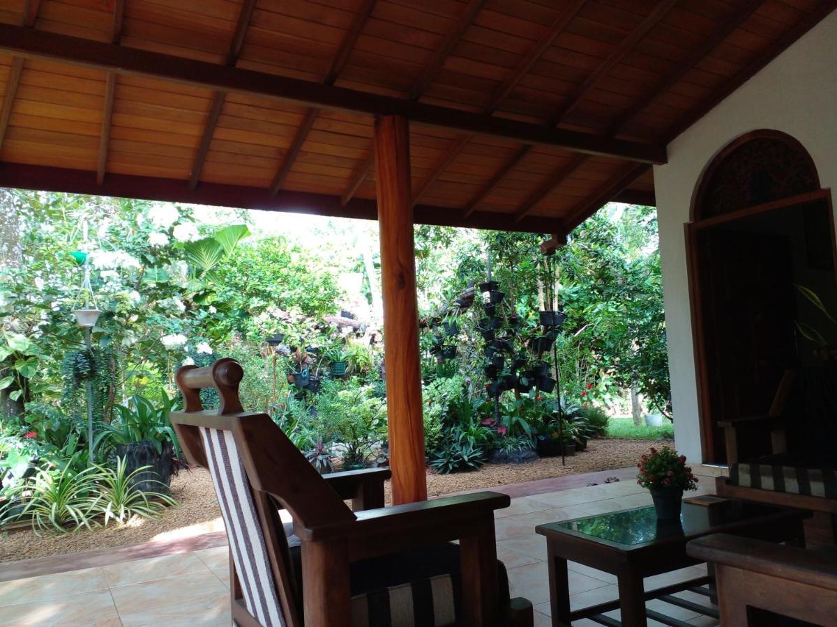 Bed and Breakfast Zum Deutschen Bentota Exterior foto