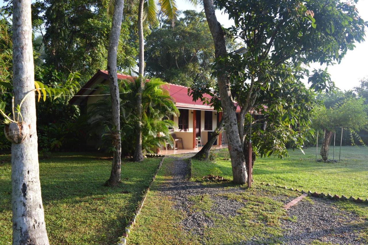 Bed and Breakfast Zum Deutschen Bentota Exterior foto