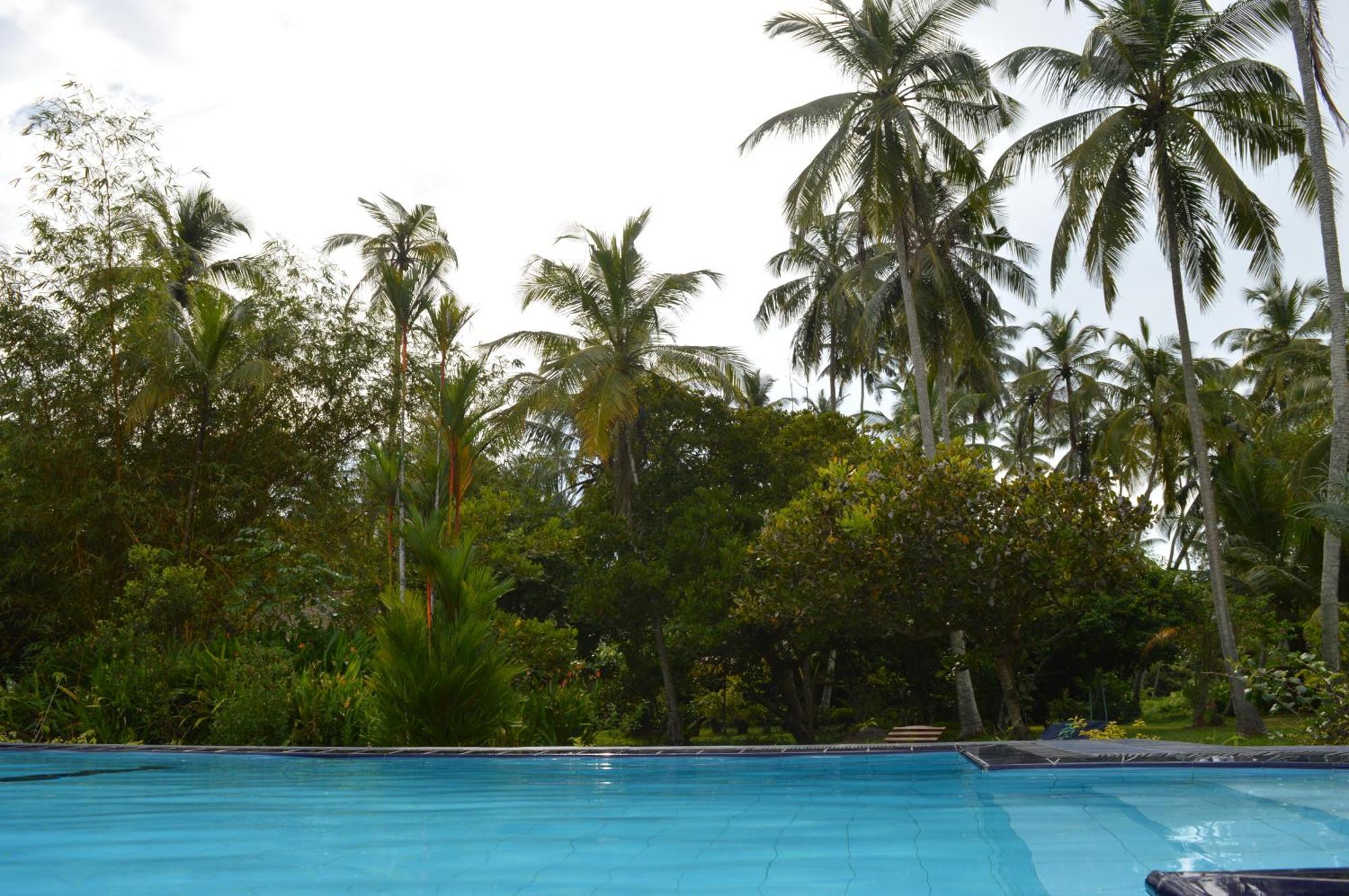 Bed and Breakfast Zum Deutschen Bentota Exterior foto