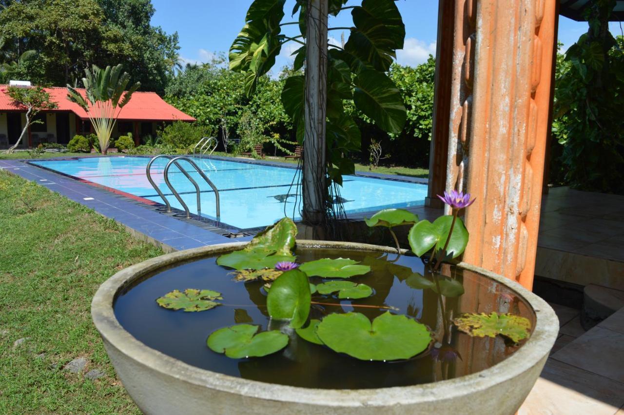 Bed and Breakfast Zum Deutschen Bentota Exterior foto